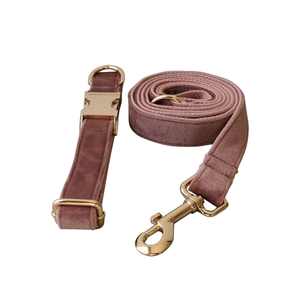Collar de nailon recubierto resistente a roturas para perro, correa ajustable de entrenamiento para caminar, Collar de <span class=keywords><strong>terciopelo</strong></span> para perro, <span class=keywords><strong>Amazon</strong></span> - Product Image 2