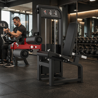 Machine multifonctionnelle professionnelle à charge libre pour salle de sport : Machine à curls et extensions assises, et presse à jambes