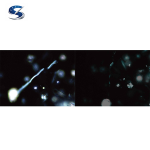 Microscopio Polarizador/Dispersor LV100ND POL/DS para Análisis Cualitativo e Identificación de Asbesto - Product Image 2