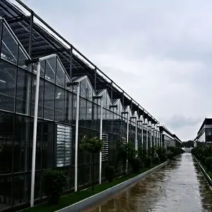 エコロジーレストラン用ガラス温室カバー農業用温室
