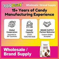 Yoloduck Nieuwe Aanwinst Knapperige Chocolade-ei met Vulling, Chocolade Snoep met Knapperige Buitlaag, Chocolade Snoep in Bulk