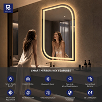 Miroir de salle de bain LED asymétrique en forme de D, intelligent, anti-buée, à commande tactile, mural, pour projets hôteliers, OEM personnalisé