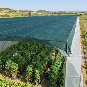 Filet d'ombrage agricole en HDPE résistant aux UV, vert foncé, haute résistance 450% 70% 90% pour serre de légumes et protection solaire - Product Image 2