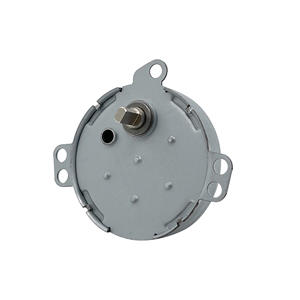 Motorreductor de CC en Miniatura JS50T, Controlador de Válvulas para Gas y Brazos Robóticos, Motorreductores de CA/CC en Miniatura - Product Image 1