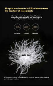 Design di lusso Hotel Hilton cuscini in morbido cotone 100% bianco <span class=keywords><strong>piuma</strong></span> <span class=keywords><strong>d</strong></span>'<span class=keywords><strong>oca</strong></span> <span class=keywords><strong>d</strong></span>'anatra piumino cuscino nucleo letto all'ingrosso Hotel cotone - Product Image 3