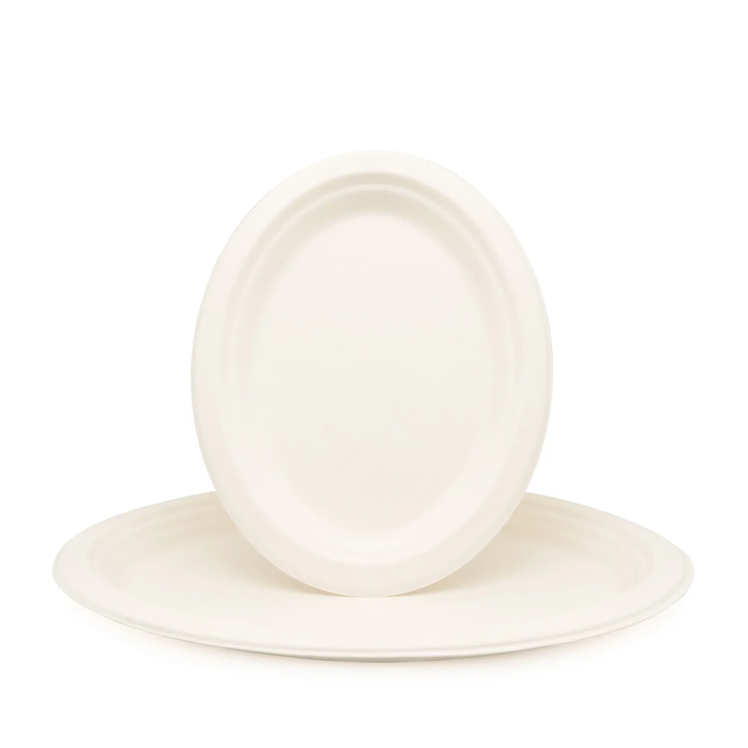 High Quality Custom Disposable Oval Shape Bagasse Biodegradable Pizza Paper Plate