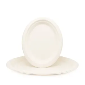 High Quality Custom Disposable Oval Shape Bagasse Biodegradable Pizza Paper Plate