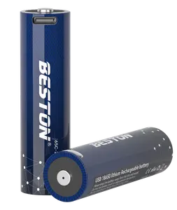 बेस्टन अच्छी गुणवत्ता 3.7v 18650 2000mah लिथियम बैटरी टाइप-सी चार्जिंग पोर्ट के साथ बैटरी रिचार्जेबल बैटरी
