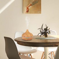 Diffuseur d'huiles essentielles pour la maison Humidificateur d'air à pulvérisation ultrasonique décoratif Aromathérapie Yoga Diffuseur d'huiles essentielles