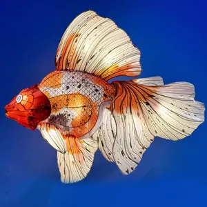 New Design Chinese Tradition Light Festival Decoration Fish Lantern Hand Painted Led Animal Fish Lanterns