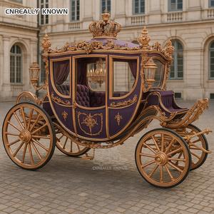 Fabricant de chariots de mariage royaux en vente, personnalisables, avec climatisation et éclairage LED. - Product Image 5