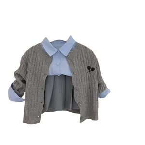 Girls Pleated Skirt Gray Cotton Solid Color Autumn School Style Casual Wear - Product Image 2