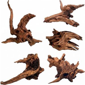Bois de Cholla Non Toxique en Gros PKY, Racine de <span class=keywords><strong>Cactus</strong></span> pour Décoration de Bassin d'Écrevisses, Aquarium, Vivarium et Aménagement Paysager - Product Image 2