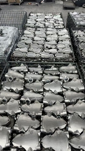 bibo Casting - Product Image 5