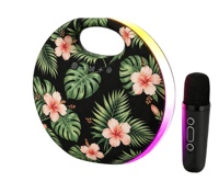 Haut-parleur karaoké Bluetooth portable 2400 mAh avec 2 microphones sans fil, lumière LED RGB, machine KTV, prend en charge TF USB AUX