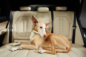 Désodorisant parfumé pour voiture, vente en gros en ligne, 1 pièce, parfum doux et confortable pour l'intérieur de la voiture - Product Image 4