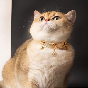 Collar de Lujo para Mascotas de Cuero Vegano con Cristales, para Perros y Gatos, Accesorio Personalizable con Opciones en Dorado, Plateado y Negro - Product Image 6