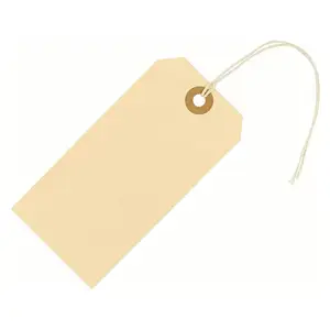 China Manufacturer Hang Brand Tag Craft Paper Tags