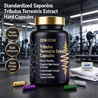 Extrait de Tribulus Terrestris standardisé en saponines, capsules dures, nutrition sportive, complément nutritionnel, végétalien, OEM, en vrac, usine
