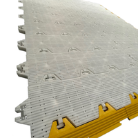 Cubierta Temporal para Protección de Césped Flyon 2024, Pisos para Eventos, Baldosas para Césped con Precio de Fábrica