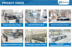 ריהוט מעבדה עם ספסל קיר מעבדה שולחן קיר עם ארון תלוי & מתלה מתלה - Product Image 6