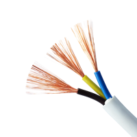 Kabel Daya RVV Berisolasi PVC Konduktor Tembaga Terlilit Fleksibel 2/3/4/5/3-2/3-1 Inti 300/500V Untuk Bangunan 1.5mm Kabel Listrik