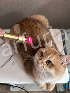 Dispositif vétérinaire <span class=keywords><strong>laser</strong></span> de thérapie <span class=keywords><strong>laser</strong></span> de bas niveau Arfurla pour appareil de physiothérapie pour animaux de compagnie à usage vétérinaire - Product Image 6