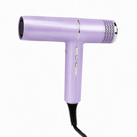 Sèche-cheveux ionique professionnel avec moteur BLDC 1650-1850W, pour salon et usage domestique, construction en plastique, hôtel, camping-car, diffuseur de chaleur