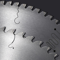 Lame de scie circulaire en bois Hss en acier inoxydable Tct de haute précision pour la coupe du bois