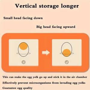 1 Stück Küchen-Eier-Aufbewahrungsbox Kühlschrank Frischhaltedose Kunststoff 2-Schicht-Schubladentyp Große Kapazität Aufbewahrung Haushalt Küchenorganizer Regal - Product Image 3