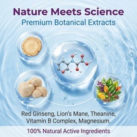 Patchs Transdermiques Personnalisés au Magnésium pour la Santé Immunitaire, Complexes Vitaminiques Transdermiques, Patchs Ciblés aux Extraits de Plantes