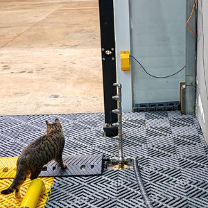 Machine de lavage de voiture automatique sans contact polyvalente pour les ateliers de beauté automobile, les garages et les centres de service - Product Image 2