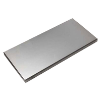 Placa de Acero Delgada Grabada con Láser, Accesorio de Impresión por Tampografía para Impresora Manual, Alta Calidad, Larga Vida Útil