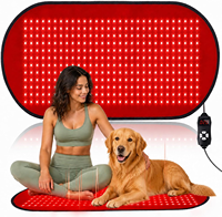 Tapis de luminothérapie LED rouge pour animaux de compagnie 100*60cm 360 LED, soulagement de la douleur, logo personnalisé, emballage disponible, coussin de luminothérapie rouge