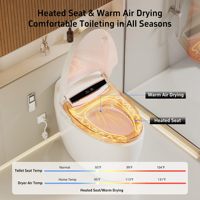 WC intelligent moderne avec siège chauffant et cuvette monobloc pour salle de bain résidentielle haut de gamme