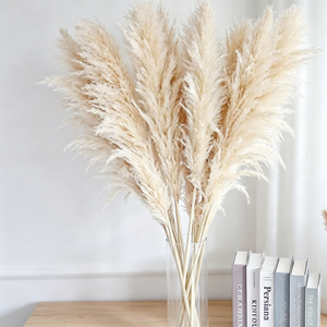 Herbe de la Pampa Séchée de Haute Qualité, Écologique, Grande et Moelleuse, Plus de 120 cm, pour Décoration Bohème et Aménagement Intérieur d'Événements, Vente en Gros - Product Image 6