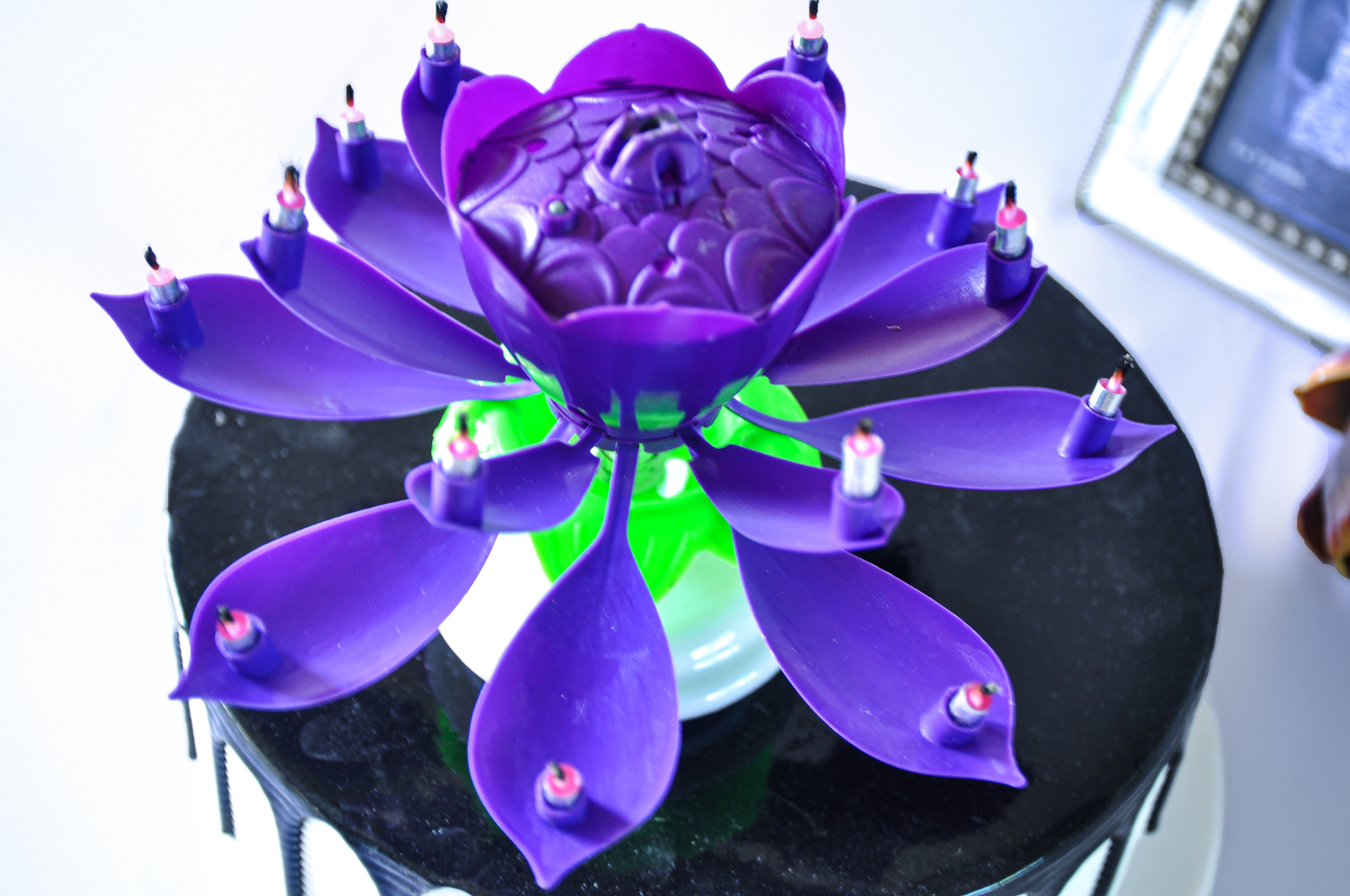 Pourpre