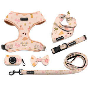 Conjunto Personalizado de Arnés, Correa y Collar de Lujo de Neopreno y Malla Transpirable de Alta Calidad a Prueba de Fugas para Gato y Perro - Product Image 1