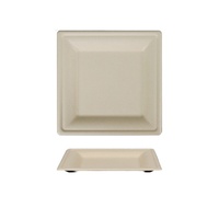 Bagasse à sucre Assiettes carrées de 6 pouces Ensemble d'assiettes jetables Assiette en papier pour friteuse à air pour aliments