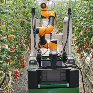 Robot Colaborativo de Última Generación para la Cosecha de Tomates en Laboratorios con Nuestro Modelo de Lenguaje Visual Autodesarrollado - Product Image 1