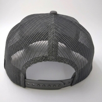 Casquette Snapback Premium Personnalisée à 5 ou 6 Panneaux avec Logo Brodé, Motif Animal Araignée Scorpion, Grise, Casquette de Baseball en Maille pour Hommes