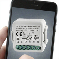 Module Mini DIY 1/2/3/4 Gang 2 Voies Tuya Smart à Commande Vocale, Relais Électrique en Plastique, Contrôleur de Minuterie Étanche PC