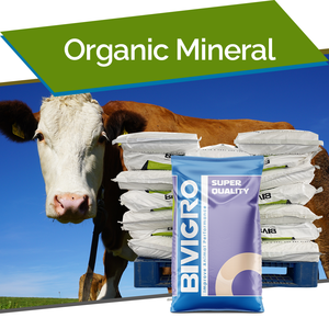 Mélange de Suppléments Minéraux Organiques Chélatés pour Bovins, Bovins à Viande, Vaches laitières, Ovins et Caprins – Fournisseur Fabricant - Product Image 1