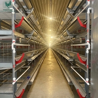 Système de cages en batterie galvanisées de type H automatique pour élevages avicoles à haute densité, destiné aux poules pondeuses