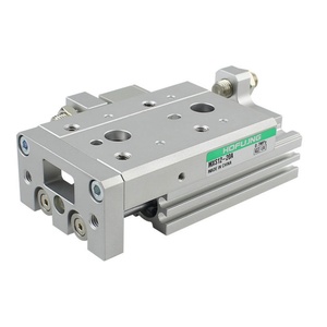 Cylindre compact à glissière HOFUJNG série MXS MXS6 12-16 25 MXS8-10-20 ASTFRP - Product Image 1
