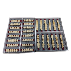 96 unités de prothèses dentaires synthétiques Yamahachi, forme anatomique agréable pour laboratoire dentaire, prothèse dentaire <span class=keywords><strong>amovible</strong></span> en résine - Product Image 3