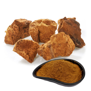hochwertiges <span class=keywords><strong>Chaga</strong></span>-Pilzpulver aus <span class=keywords><strong>Chaga</strong></span>-Pilzen-Extrakt - Product Image 6
