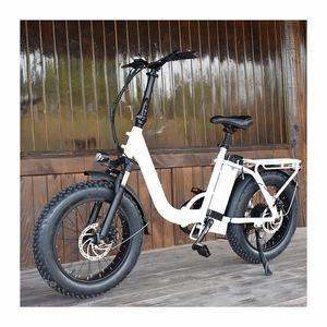 Vélo électrique pliant avec gros pneus de 20 pouces, RaiderExpand-45F w, 48v, 750 - Product Image 1