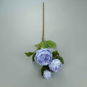 21 "CHUBBY ROSE STE[EF7267] - Product Image 5