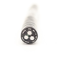 Câble Concentrique à Conducteurs en Aluminium, Isolation XLPE, Gaine en PVC, Câble d'Alimentation Basse Tension